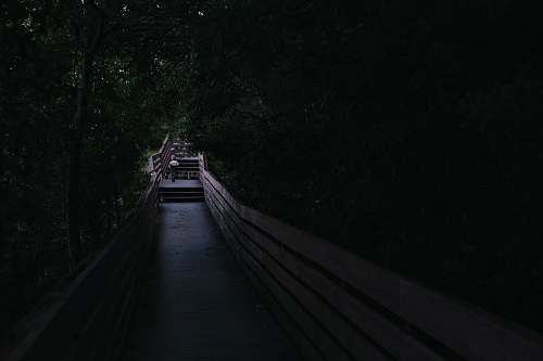 bay bluffs park man walking on bridge pensacola